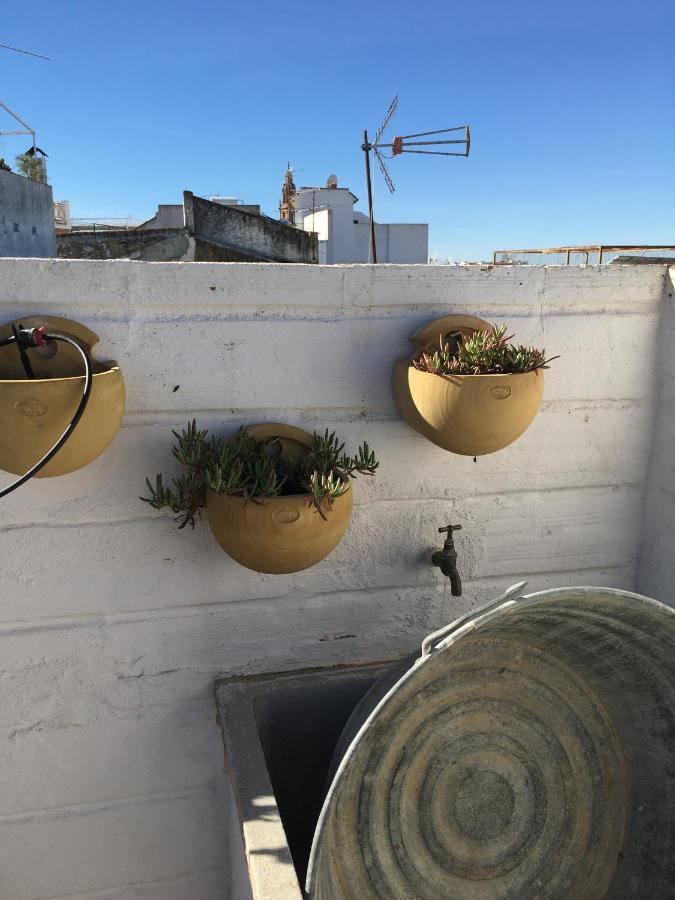Casa en pleno centro EL LEÓN BLANCO 6 personas con chimenea Vila Carmona  Exterior foto